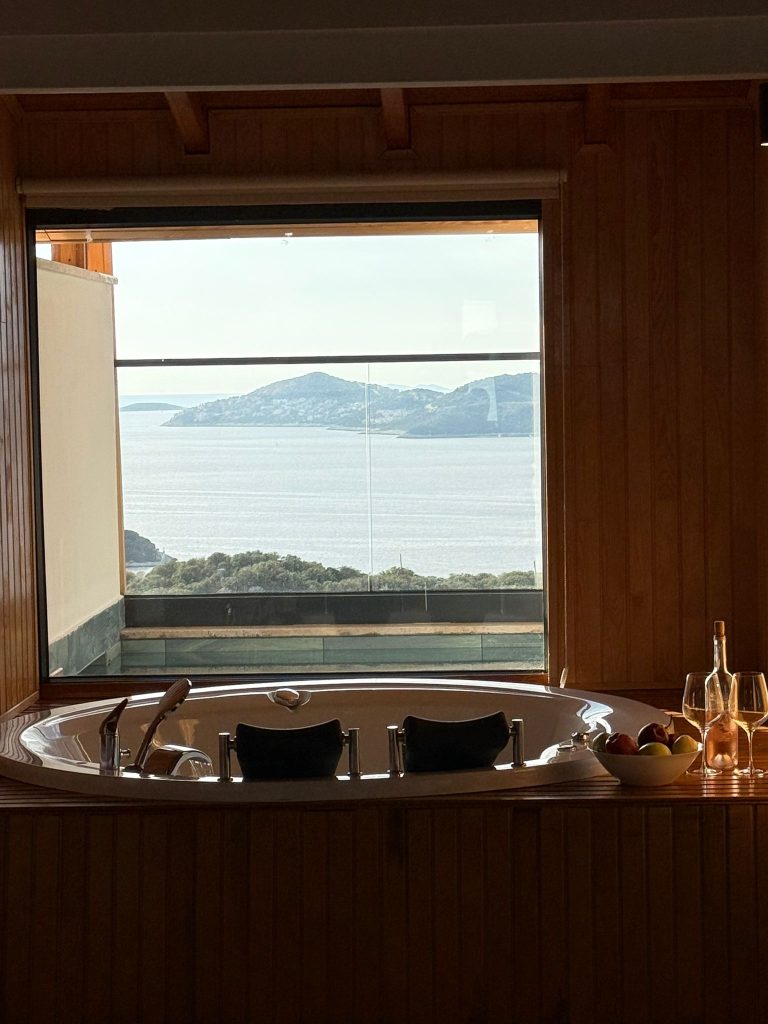 King Suit ( Havuzlu Jakuzili DENİZ MANZARALI )